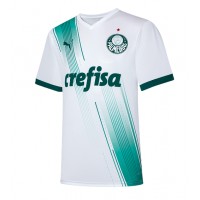 Pánský Fotbalový dres Palmeiras 2023-24 Venkovní Krátký Rukáv